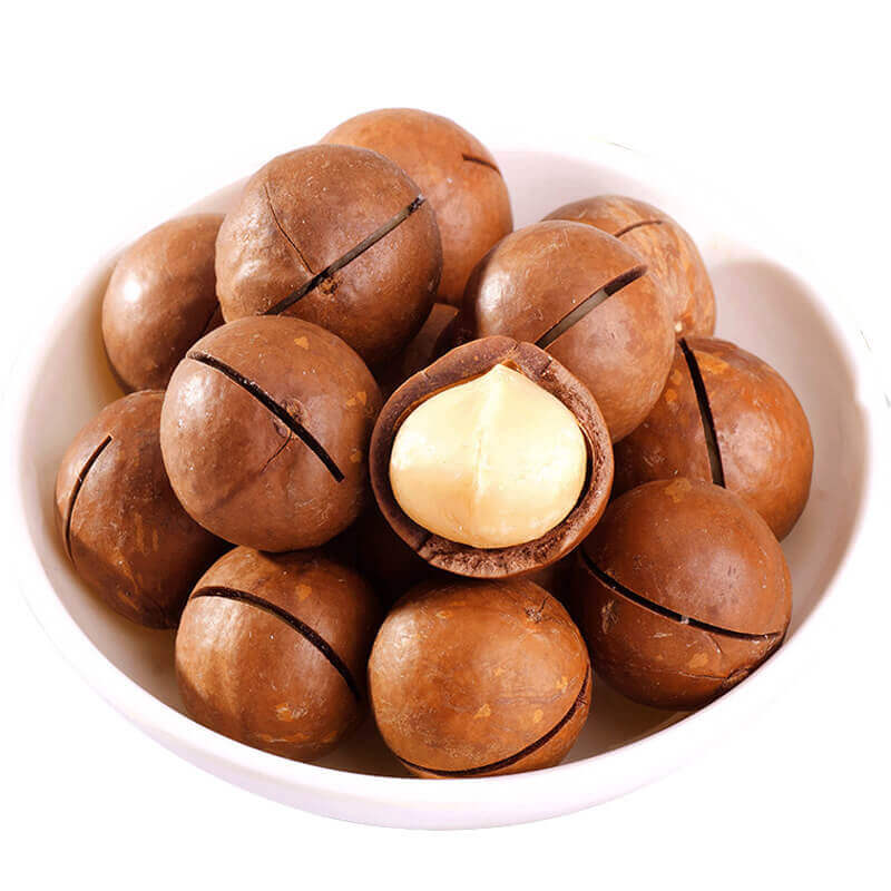 Macadamia Drying Process